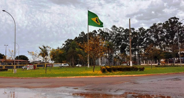 Ipês e outras árvores dão flores e colorem bairros e centro de Ponta Porã Ipês e outras árvores dão flores e colorem bairros e centro de Ponta Porã