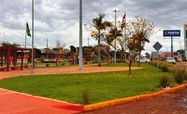 Ipês e outras árvores dão flores e colorem bairros e centro de Ponta Porã Ipês e outras árvores dão flores e colorem bairros e centro de Ponta Porã