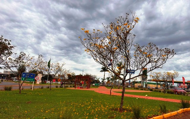 Ipês e outras árvores dão flores e colorem bairros e centro de Ponta Porã Ipês e outras árvores dão flores e colorem bairros e centro de Ponta Porã