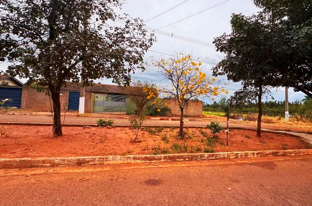 Ipês e outras árvores dão flores e colorem bairros e centro de Ponta Porã Ipês e outras árvores dão flores e colorem bairros e centro de Ponta Porã