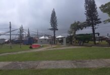 Template Colunistas – Yhuldes Giovani