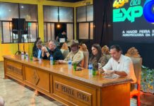 Template Colunistas – Yhuldes Giovani