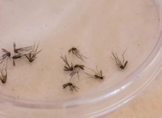 Category Template 1