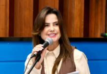 Template Colunistas – Yhuldes Giovani