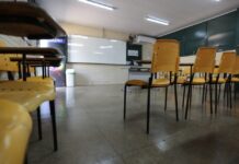 Template Colunistas – Yhuldes Giovani
