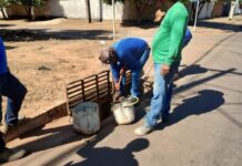 Template Colunistas – Yhuldes Giovani