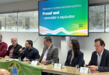 Template Colunistas – Yhuldes Giovani