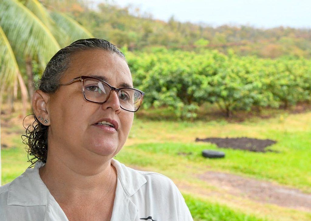 Com apoio do Governo Riedel, agricultura familiar alcança 1,2 mil famílias em Terenos