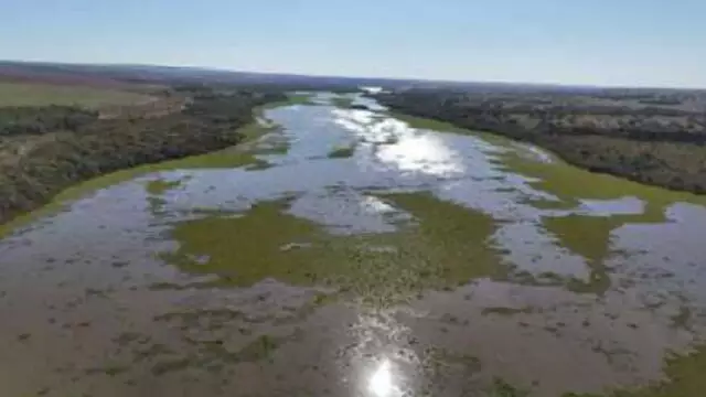 Meio ambiente: Falhas em fábrica de celulose e esgoto não tratado "sufocam" o Rio Pardo Meio ambiente: Falhas em fábrica de celulose e esgoto não tratado "sufocam" o Rio Pardo
