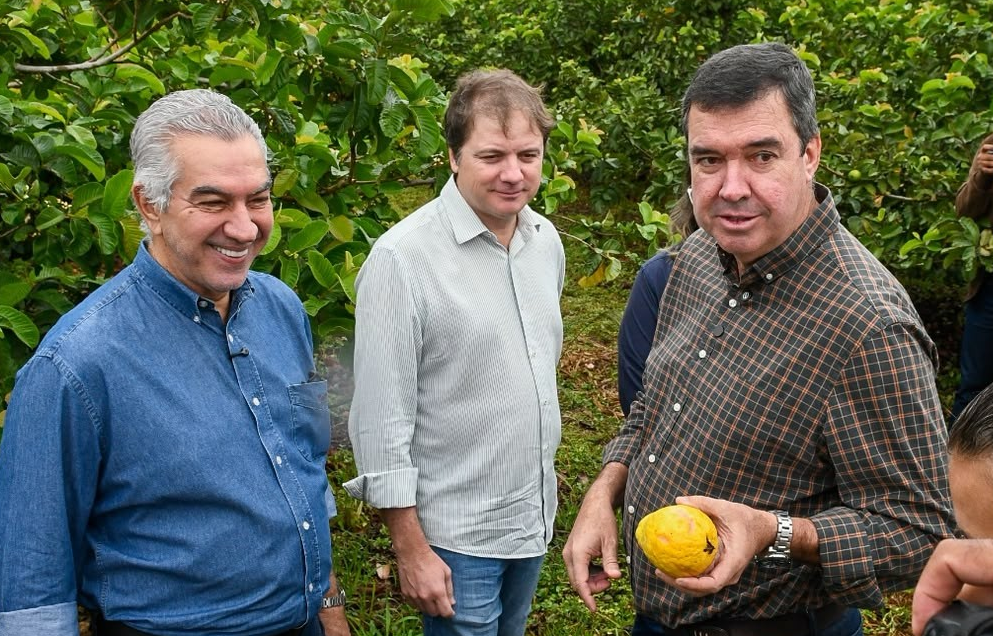 Com apoio do Governo Riedel, agricultura familiar alcança 1,2 mil famílias em Terenos