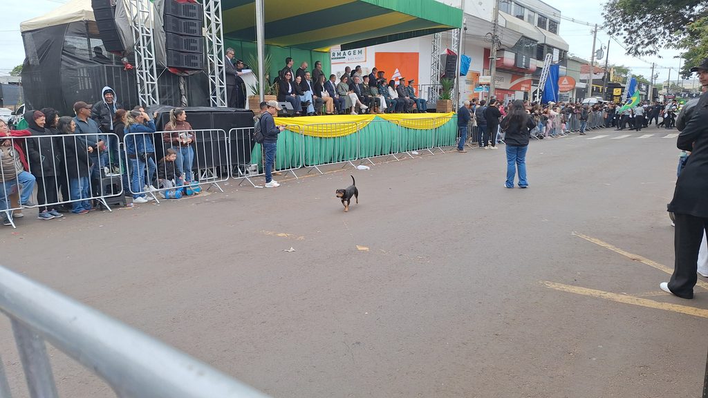 Ponta Porã: Brasil celebra o seu 204º aniversário de Independência. Confira as fotos do desfile, II parte Ponta Porã: Brasil celebra o seu 204º aniversário de Independência. Confira as fotos do desfile, II parte