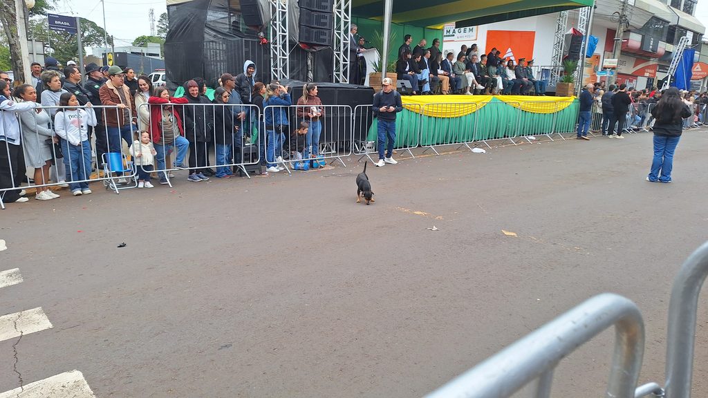 Ponta Porã: Brasil celebra o seu 204º aniversário de Independência. Confira as fotos do desfile, II parte Ponta Porã: Brasil celebra o seu 204º aniversário de Independência. Confira as fotos do desfile, II parte