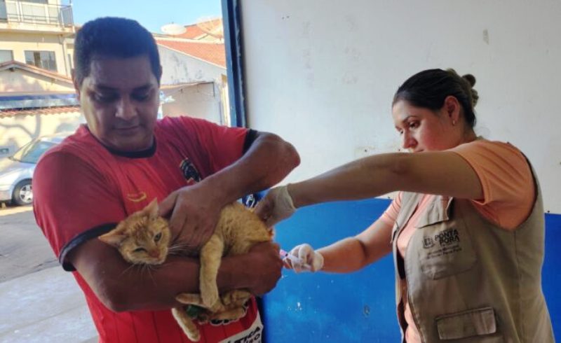 Em Ponta Porã, mais de 1,5 mil animais recebem vacina antirrábica no fim de semana Em Ponta Porã, mais de 1,5 mil animais recebem vacina antirrábica no fim de semana