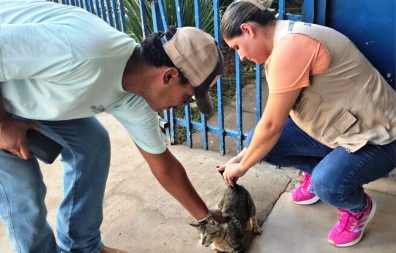 Em Ponta Porã, mais de 1,5 mil animais recebem vacina antirrábica no fim de semana Em Ponta Porã, mais de 1,5 mil animais recebem vacina antirrábica no fim de semana