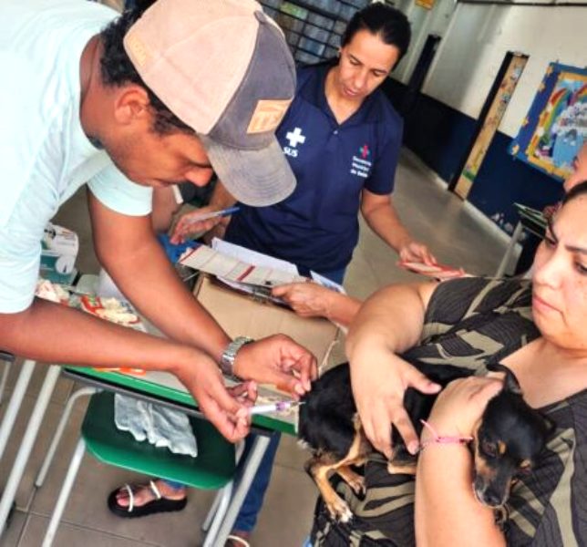 Em Ponta Porã, mais de 1,5 mil animais recebem vacina antirrábica no fim de semana Em Ponta Porã, mais de 1,5 mil animais recebem vacina antirrábica no fim de semana