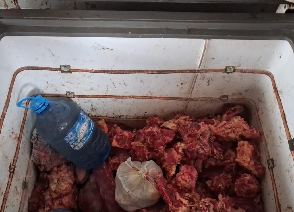 Operação Resgate VI identifica trabalho escravo em propriedades rurais de Mato Grosso do Sul