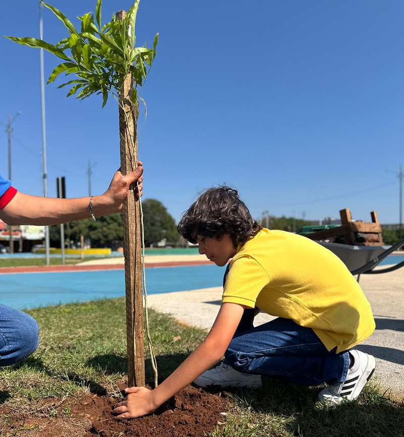 Prefeitura realiza ação alusiva ao Dia da Árvore em Ponta Porã Prefeitura realiza ação alusiva ao Dia da Árvore em Ponta Porã