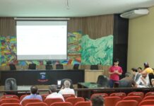 Template Colunistas – Yhuldes Giovani