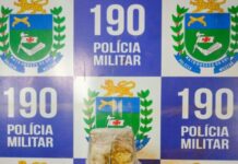 Template Colunistas – Yhuldes Giovani