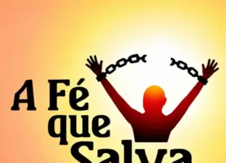 Colunistas
