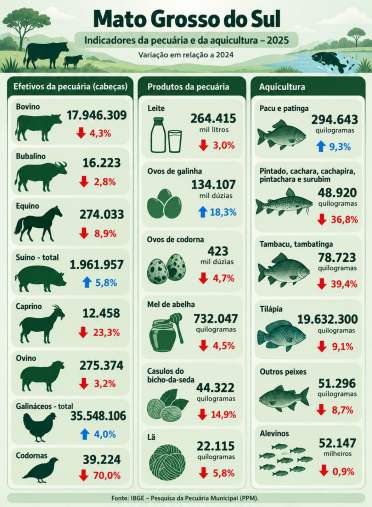 PPM 2025: Rebanho bovino de MS cai pelo segundo ano consecutivo e chega a 17,9 milhões de cabeças PPM 2025: Rebanho bovino de MS cai pelo segundo ano consecutivo e chega a 17,9 milhões de cabeças
