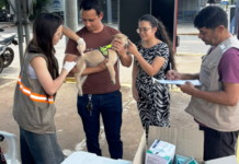 Template Colunistas – Yhuldes Giovani