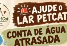 Template Colunistas – Yhuldes Giovani