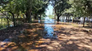 Com mais de 60 mm acumulados, Rio Ivinhema atinge 4 metros e alaga casas de veraneio em MS Com mais de 60 mm acumulados, Rio Ivinhema atinge 4 metros e alaga casas de veraneio em MS