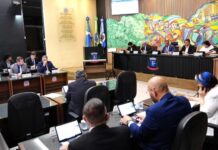 Template Colunistas – Yhuldes Giovani