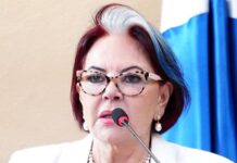 Template Colunistas – Yhuldes Giovani
