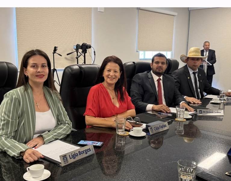 Em sessão tensa, Suzana Ulisses é eleita presidente da Câmara de Amambai