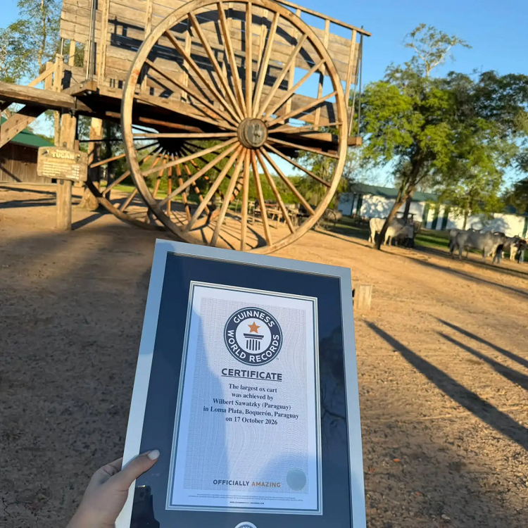 Desde el Chaco paraguayo al mundo: Un Récord Guinness para la carreta de bueyes más grande del mundo