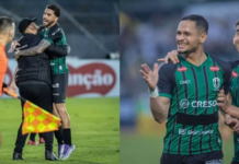 Template Colunistas – Yhuldes Giovani