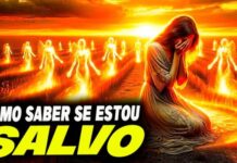 Template Colunistas – Yhuldes Giovani