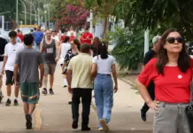 Template Colunistas – Yhuldes Giovani