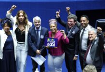 Template Colunistas – Yhuldes Giovani