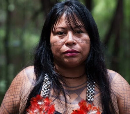 Ameaças, perseguição e mortes: indígenas denunciam aumento da violência política Ameaças, perseguição e mortes: indígenas denunciam aumento da violência política