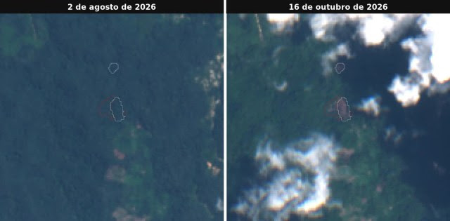 Ameaças, perseguição e mortes: indígenas denunciam aumento da violência política Ameaças, perseguição e mortes: indígenas denunciam aumento da violência política