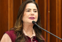 Template Colunistas – Yhuldes Giovani
