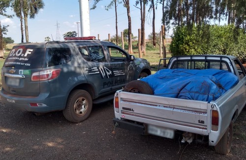 DOF apreende veículo carregado com 52 pneus no município de Maracaju