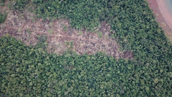 Itaipú pide colaboración para frenar daños a bosques nativos