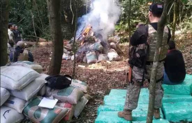 Agentes de la Senad destruyen importante campamento narco
