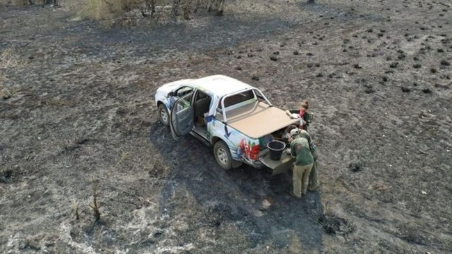 Equipe do Instituto Arara Azul monitora destruição após queimadas — Foto: Instituto Arara Azul
