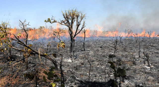 Devido aos altos índices de incêndios e queimadas registrados em Mato Grosso nos anos anteriores, o Fundo Nacional de Meio Ambiente (FNMA) autorizou a liberação de R$ 13 milhões para a instalação de uma base de controle das ocorrências em Sinop, a 503 quilômetros de Cuiabá.