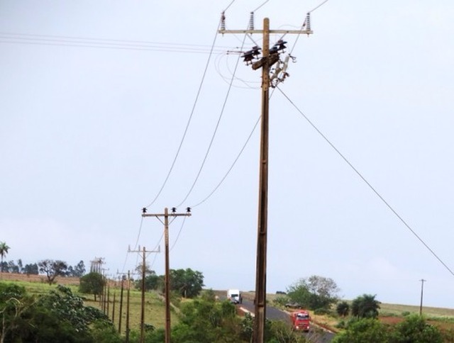 Redes de energia rural, morosidade da Energisa em realizar reparos tem causado grades prejuízos à classe produtora em Amambai. (Fotos: Vilson Nascimento)