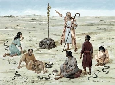 A praga das serpentes, por Eloir Vieira