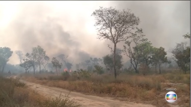 Brigadistas são presos suspeitos de incendiar área de proteção no Pará