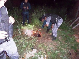 Mulher foi encontrada pelos policiais em um terreno abandonado. (Foto: TL Notícias)