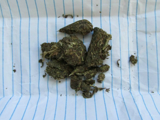 Droga estava enrolada em folha de caderno e foi apreendida pela polícia (Foto: Divulgação/Polícia Civil)