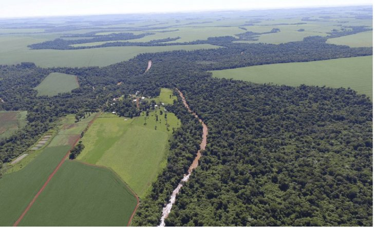 Con el nuevo sistema de monitoreo buscan localizar las áreas deforestadas de las reservas forestales.Foto: Infona.com
